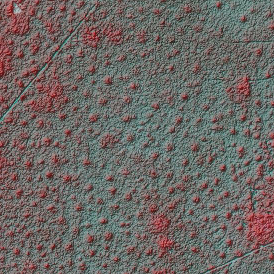 Shaded-relief false-color satellite image of termite mounds at Mpala Research Centre, Kenya