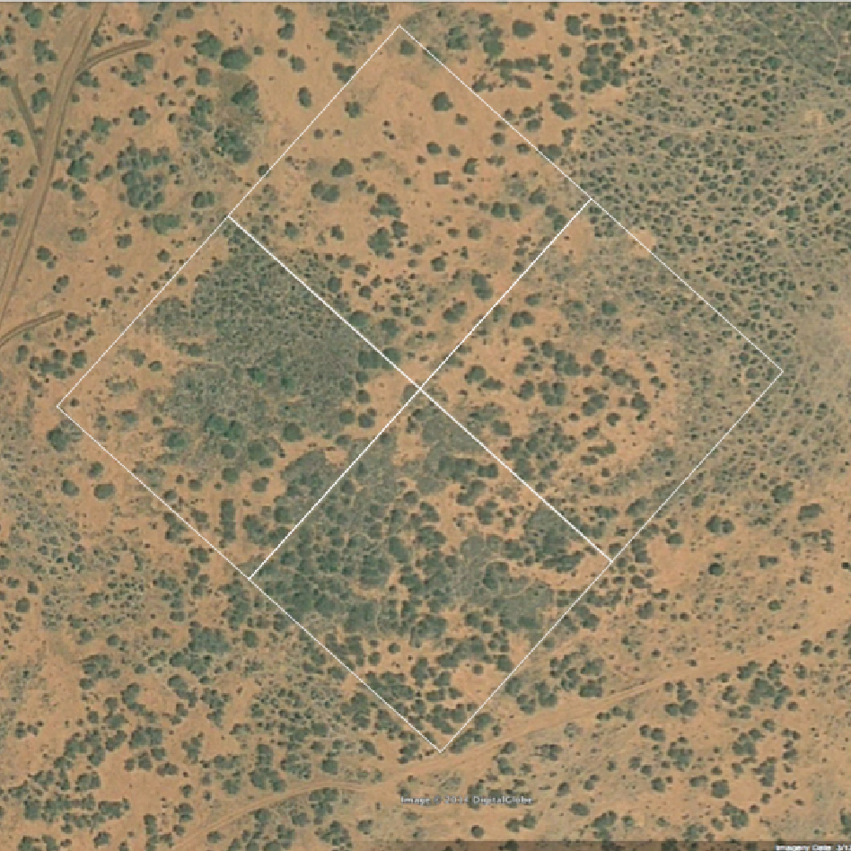 Aerial map of location of UHURU plots